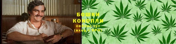 гидра Надым