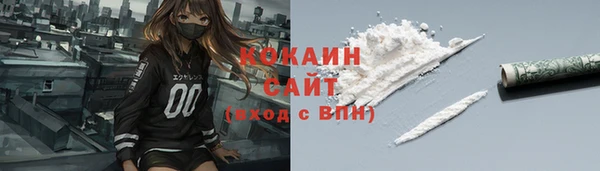 гидра Надым