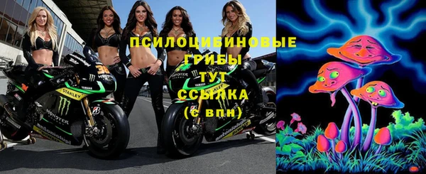 МДМА Бородино