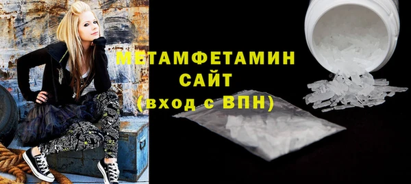 гидра Надым