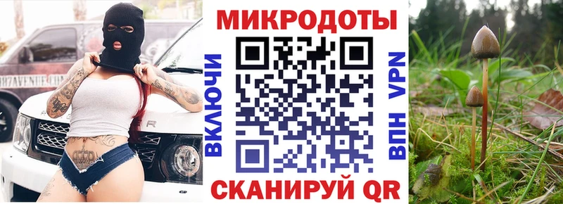 Псилоцибиновые грибы Psilocybe  дарнет шоп  Минусинск 
