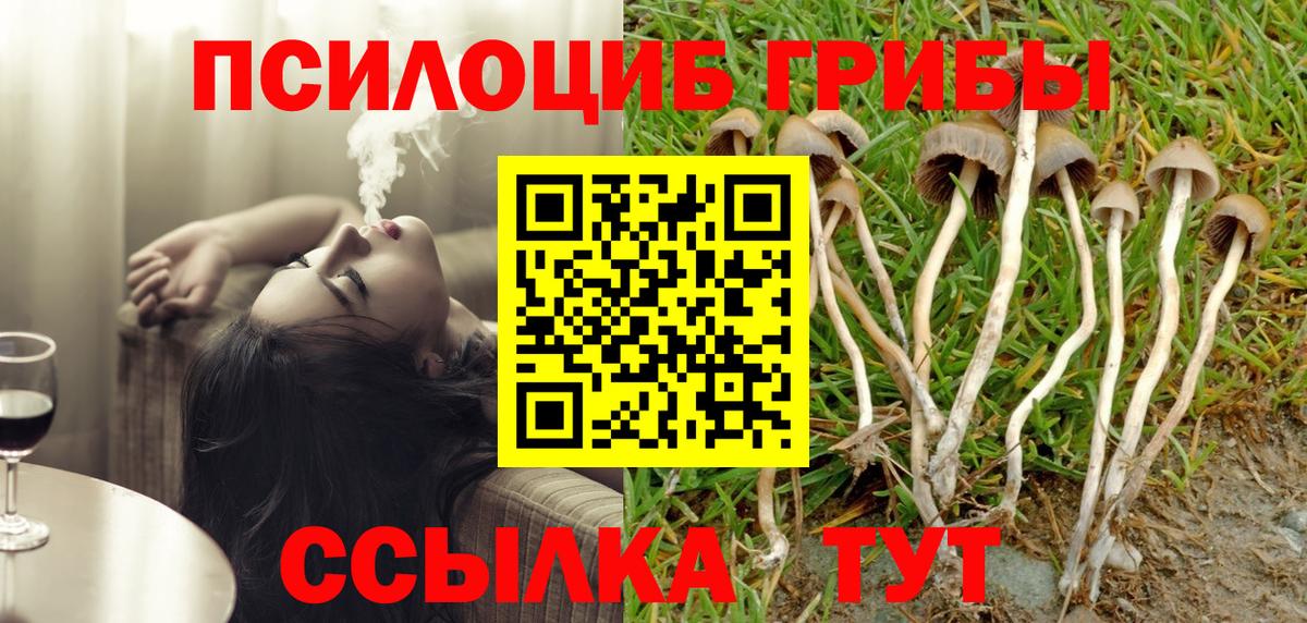 Минусинск  Галлюциногенные грибы мухоморы  Вход с VPN  Псилоцибиновые грибы Cubensis 