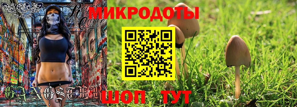 Псилоцибиновые грибы прущие грибы Минусинск